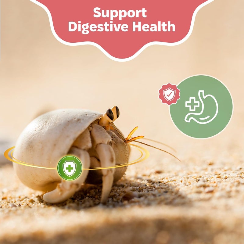 Snout and Shell Oyster Shell Supplement for Hermit Crabs – Natural Calcium Source for Molting Support – Auto Feeder Compatible – USA-Sourced Crushed Shell Powder for Stronger Exoskeletons and Shell Health - Image 5